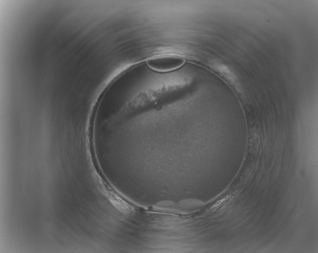 X0000072971427200607282310