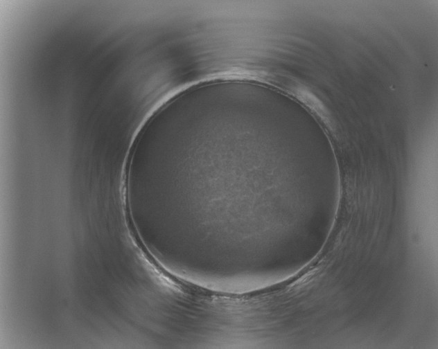 X0000072971428200607282310