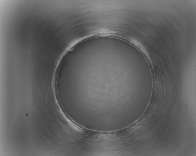 X0000072971429200607282310