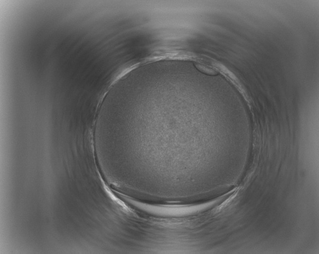 X0000072971433200607282310