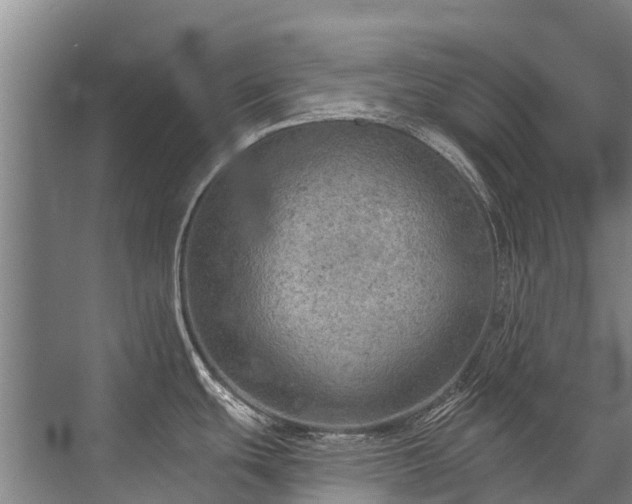 X0000072971439200607282310