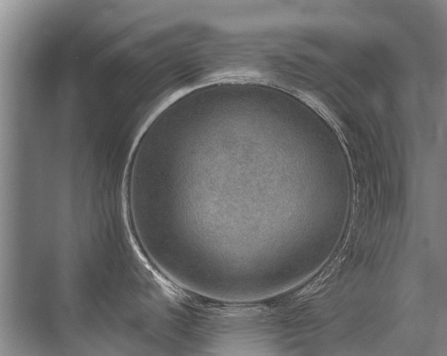 X0000072971440200607282310