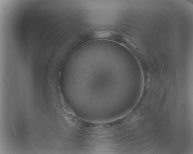 X0000072971441200607282309