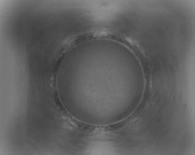 X0000072971445200607282309