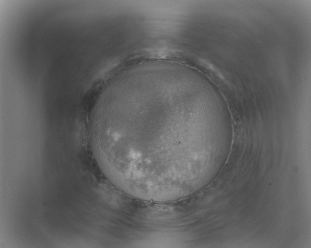 X0000072971446200607282309