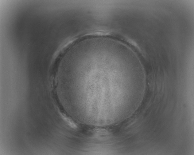 X0000072971448200607282309