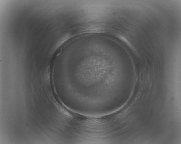 X0000072971450200607282309