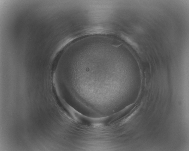 X0000072971453200607282309