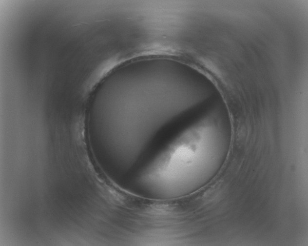 X0000072971455200607282309