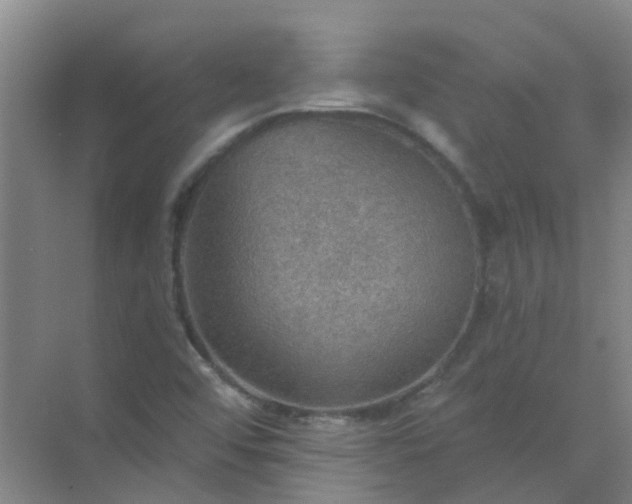 X0000072971456200607282309