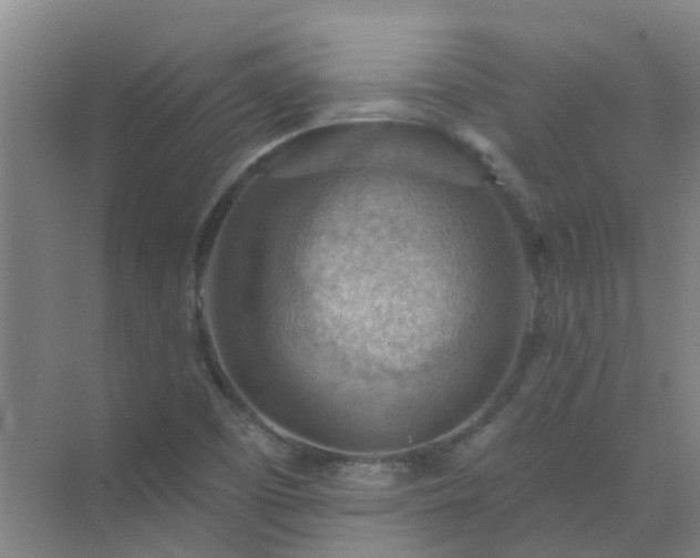 X0000072971457200607282309