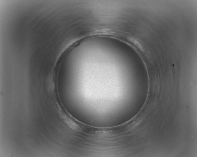 X0000072971458200607282309