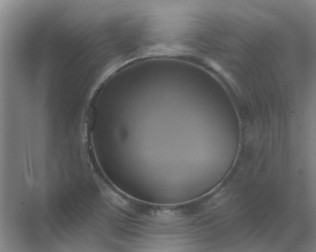 X0000072971459200607282309