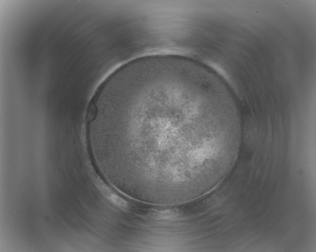 X0000072971460200607282309