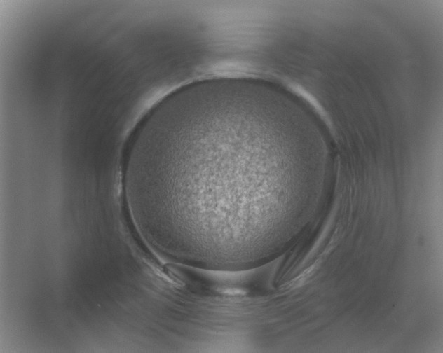 X0000072971461200607282309