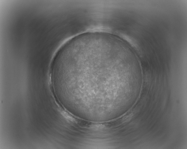 X0000072971462200607282309