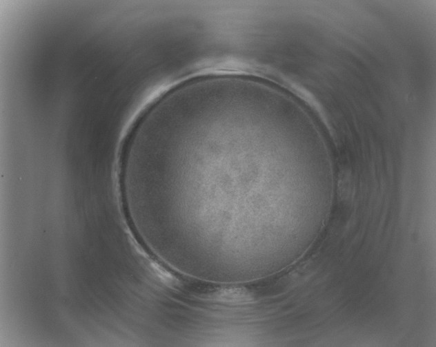 X0000072971464200607282309