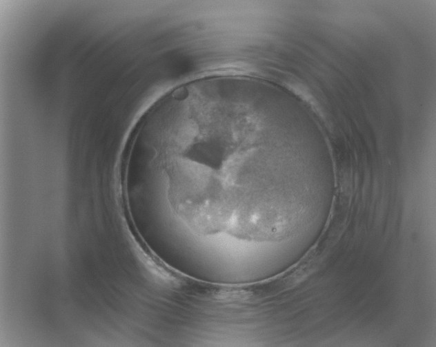 X0000072971466200607282309