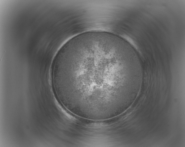 X0000072971468200607282309