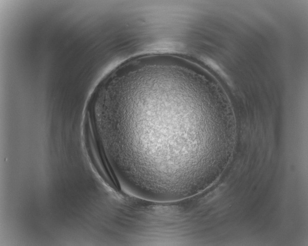 X0000072971469200607282309