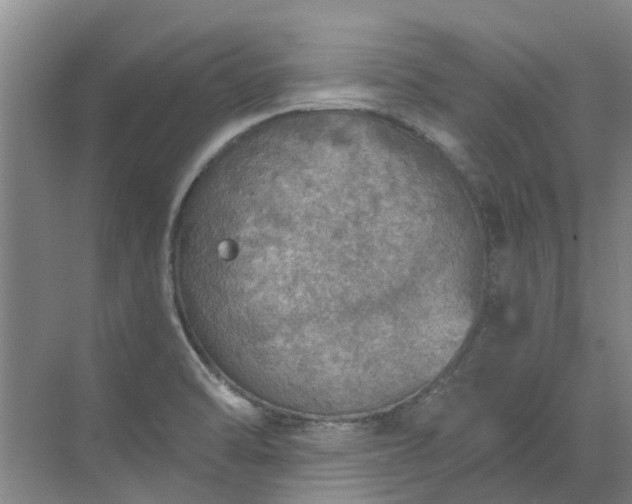 X0000072971470200607282309