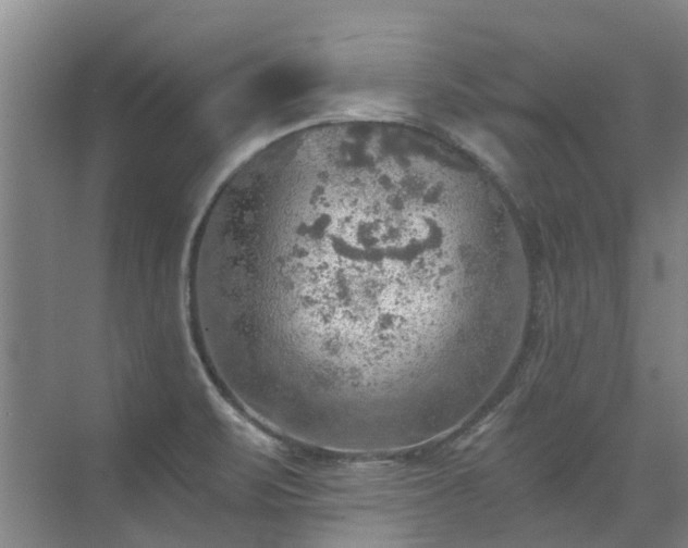 X0000072971471200607282309