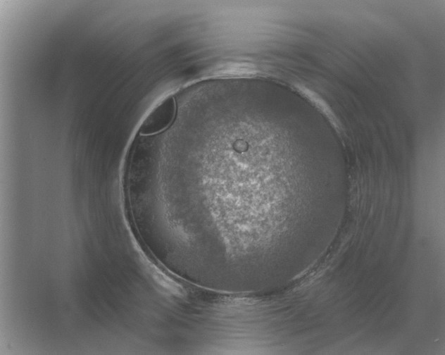 X0000072971475200607282309