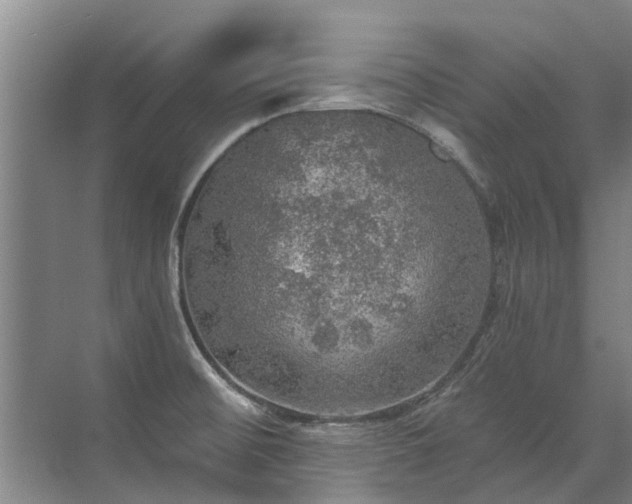 X0000072971476200607282309