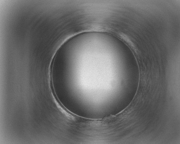 X0000072971479200607282309