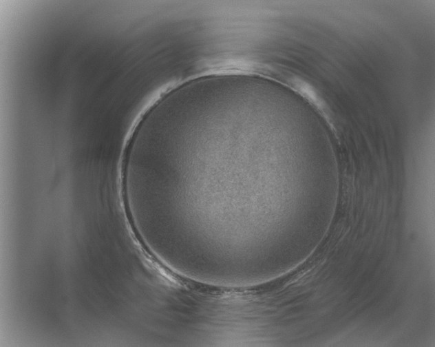 X0000072971480200607282309