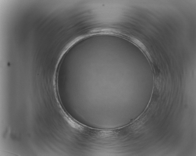 X0000072971482200607282309