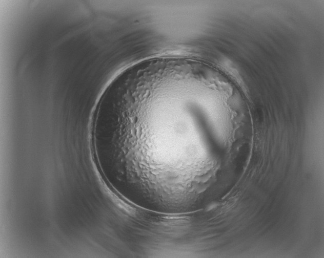 X0000072971483200607282309