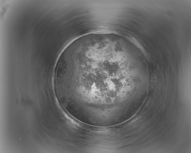 X0000072971484200607282309