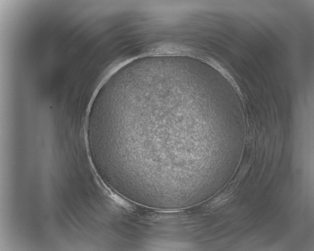 X0000072971486200607282309