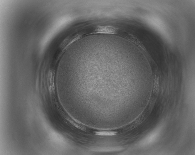 X0000072971487200607282309