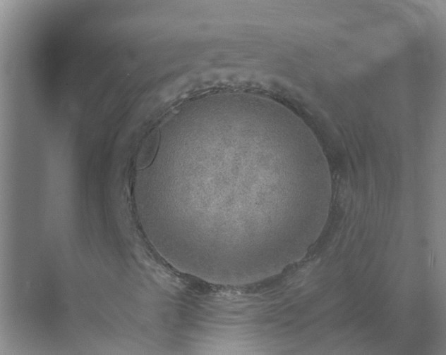 X0000072971489200607282308