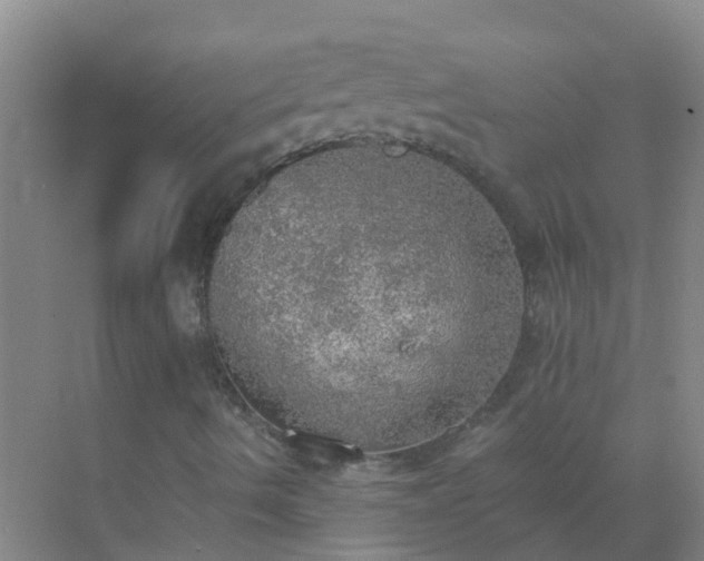 X0000072971490200607282308