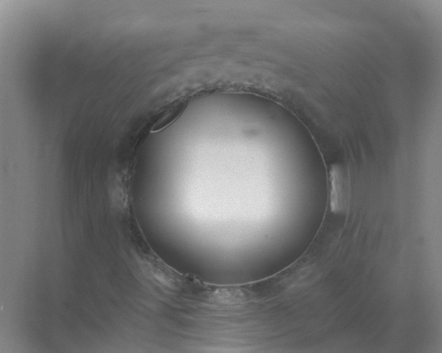 X0000072971491200607282308