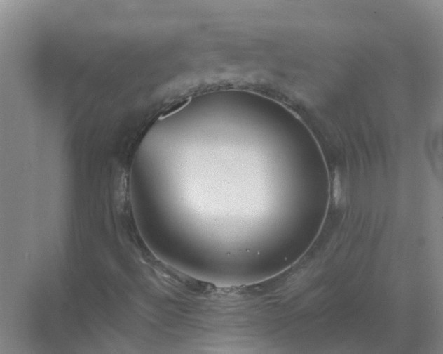 X0000072971492200607282308