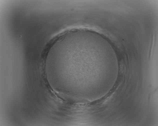 X0000072971494200607282308