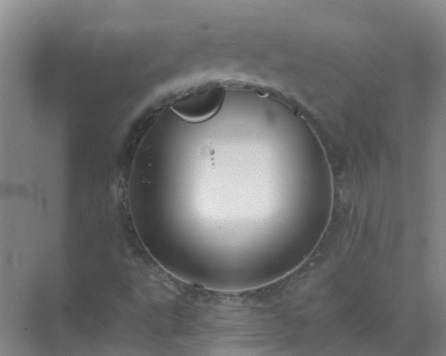 X0000072971495200607282308