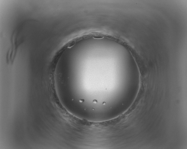 X0000072971496200607282308