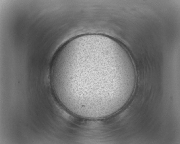 X0000072971498200607282308