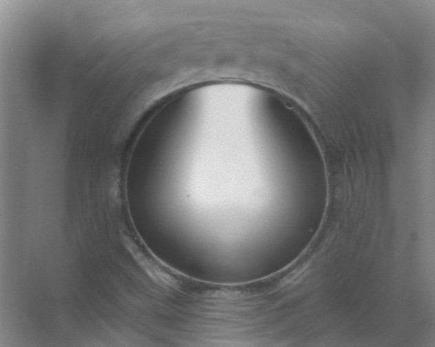 X0000072971499200607282308