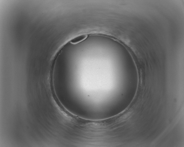 X0000072971500200607282308