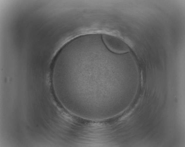 X0000072971501200607282308