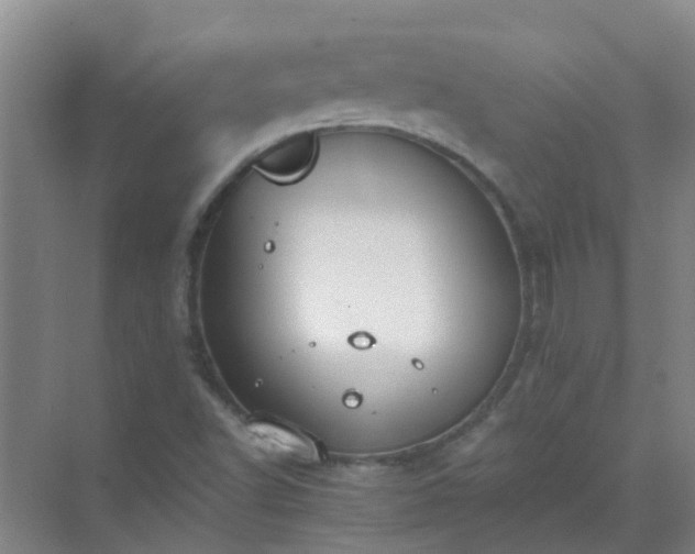 X0000072971502200607282308