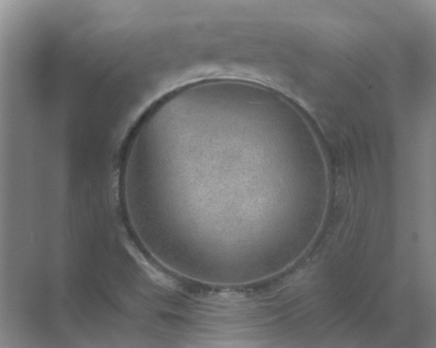 X0000072971503200607282308