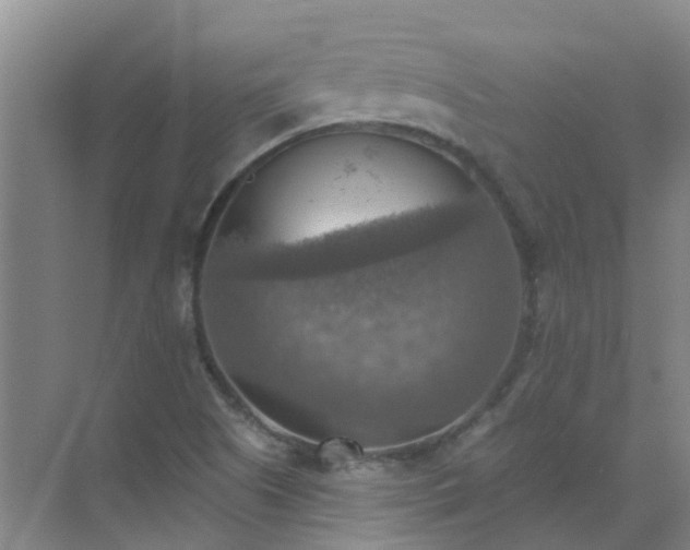 X0000072971505200607282308