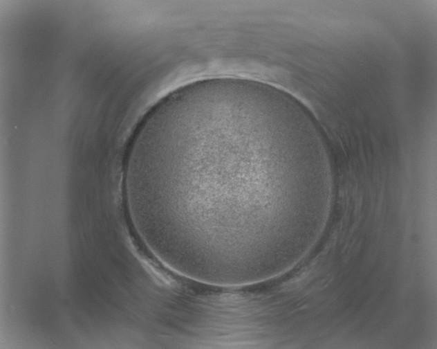 X0000072971507200607282308